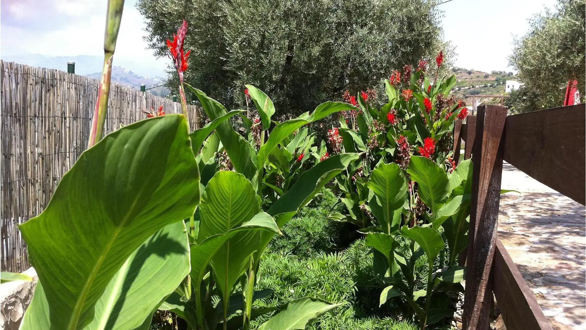 Tatil Evi 13 Bedroom Cozy Home In Sayalonga